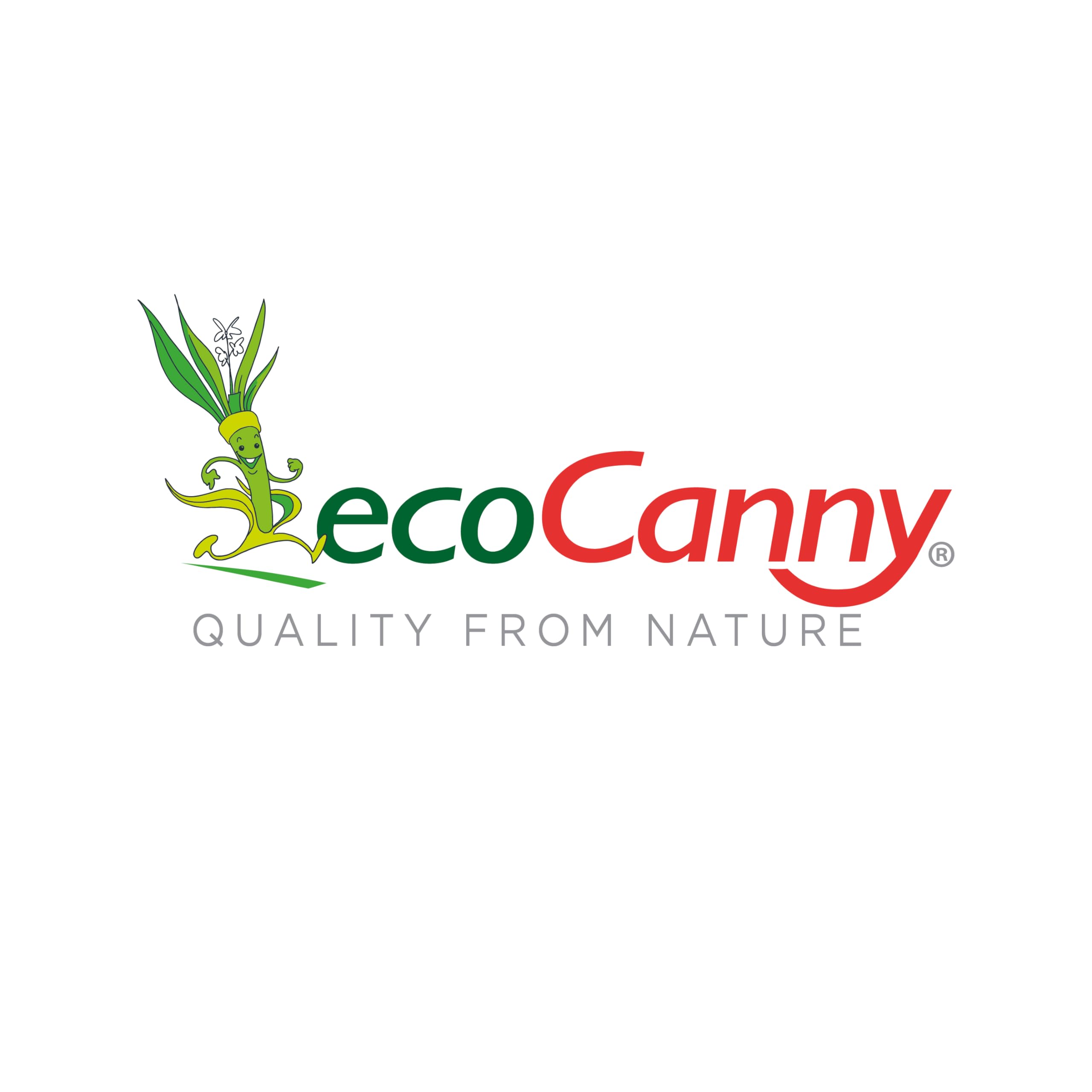 Ciotola Ecologica in Canna da Zucchero 205mm Biodegradabile Compostabile 25 Pezzi