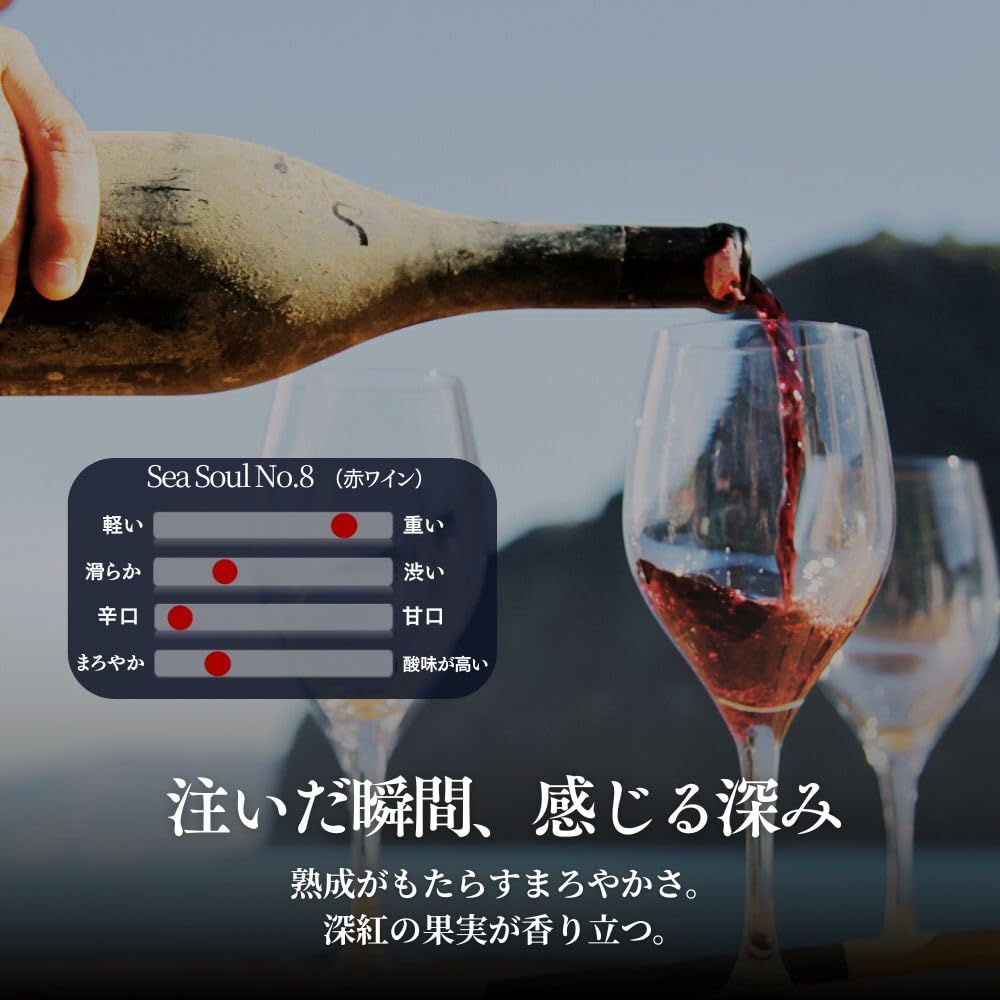 Amazon.co.jp: バスク海底熟成ワイン 赤 シーソウルNo.8｜Crusoe