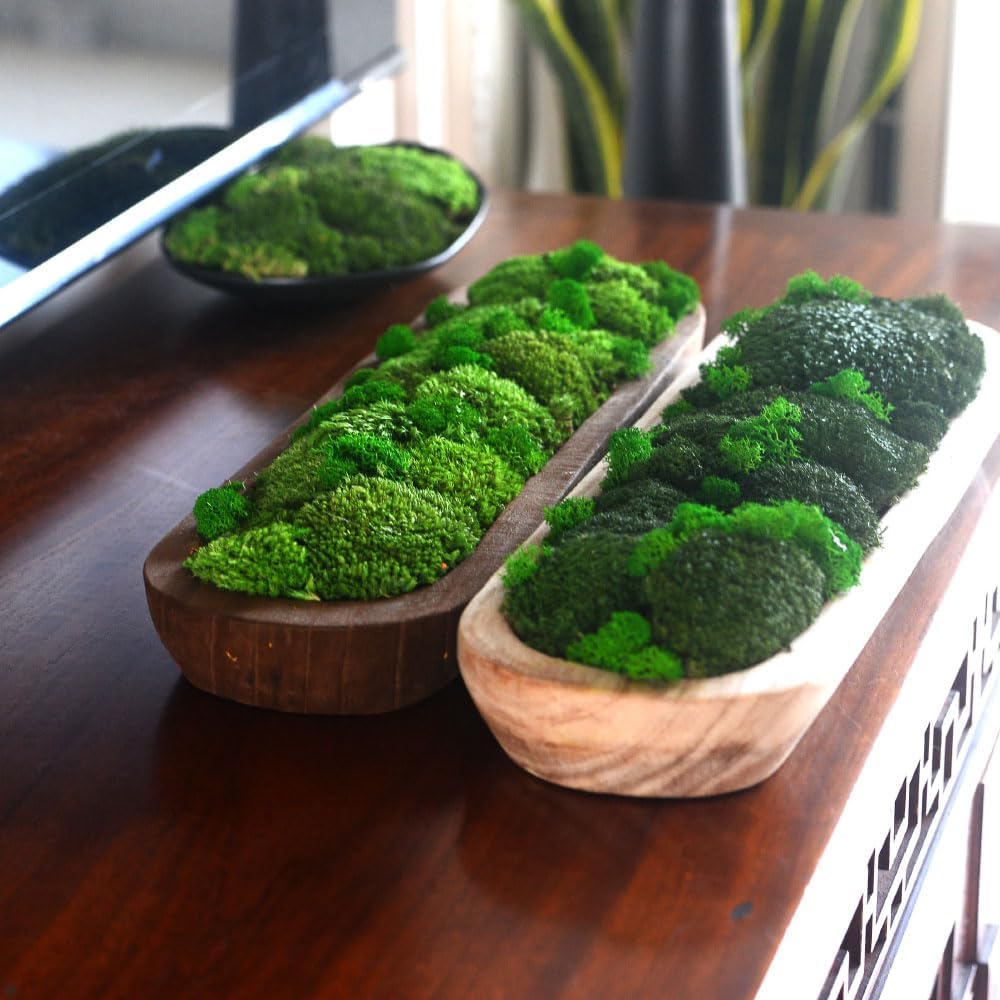 Moss bowl Centerpiece Table Decor Moss Planter Preserved Moss Gift Wood Nature Bowl One Gift Wedding Centrepieces (20" Long) (BURLYWOOD-RE-20)
