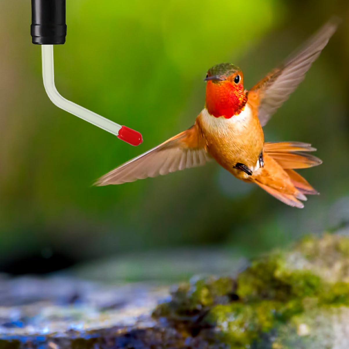 YARNOW 3 Set Di Mangiatoie Per Colibrì in Tubi Per L'acqua Per Uccelli All'aperto Per Una Comoda Alimentazione Degli Uccelli 2 Pezzi * 3