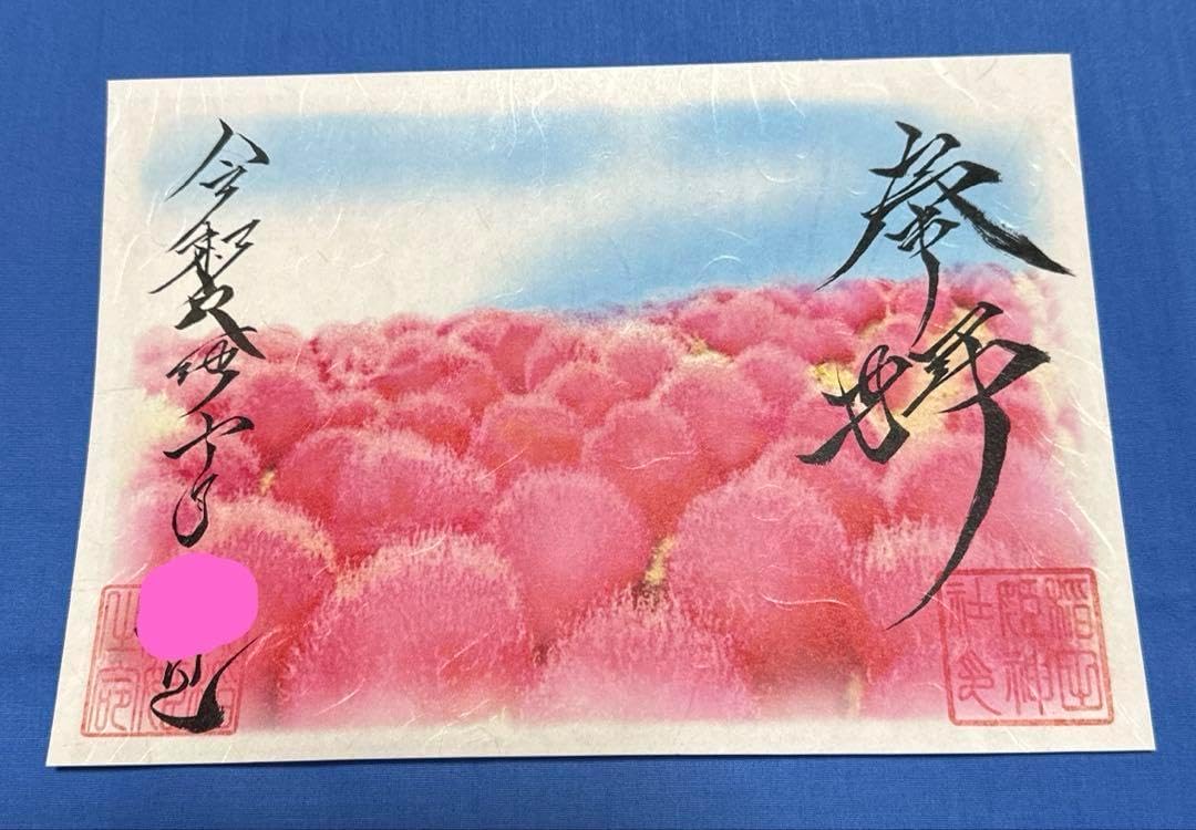 素鵞神社　10月限定御朱印セット 令和七年お正月より頒布する新しい御朱印のご案内 頒布日 1月1日
