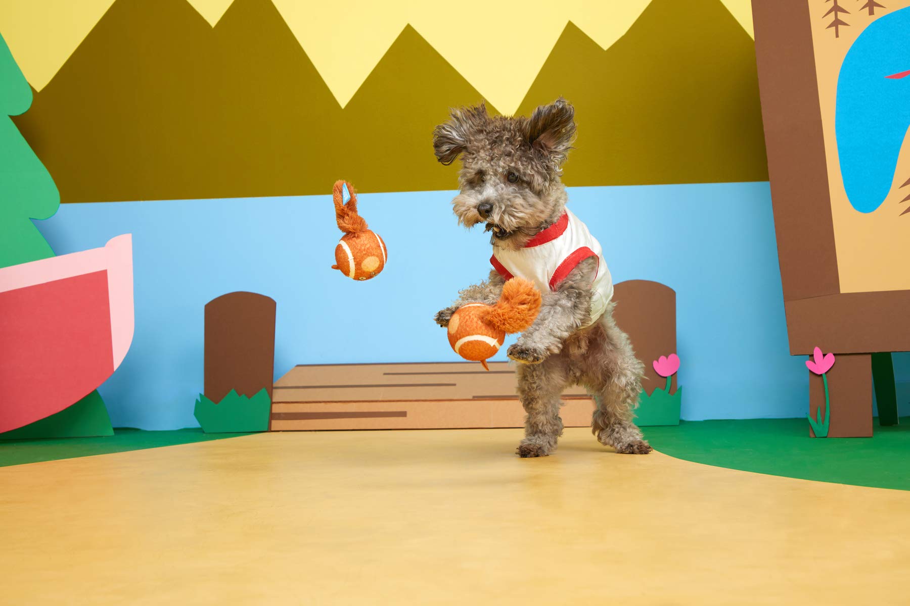 Barkbox Squeaker Ball Toys, Interactive Tennis Balls For