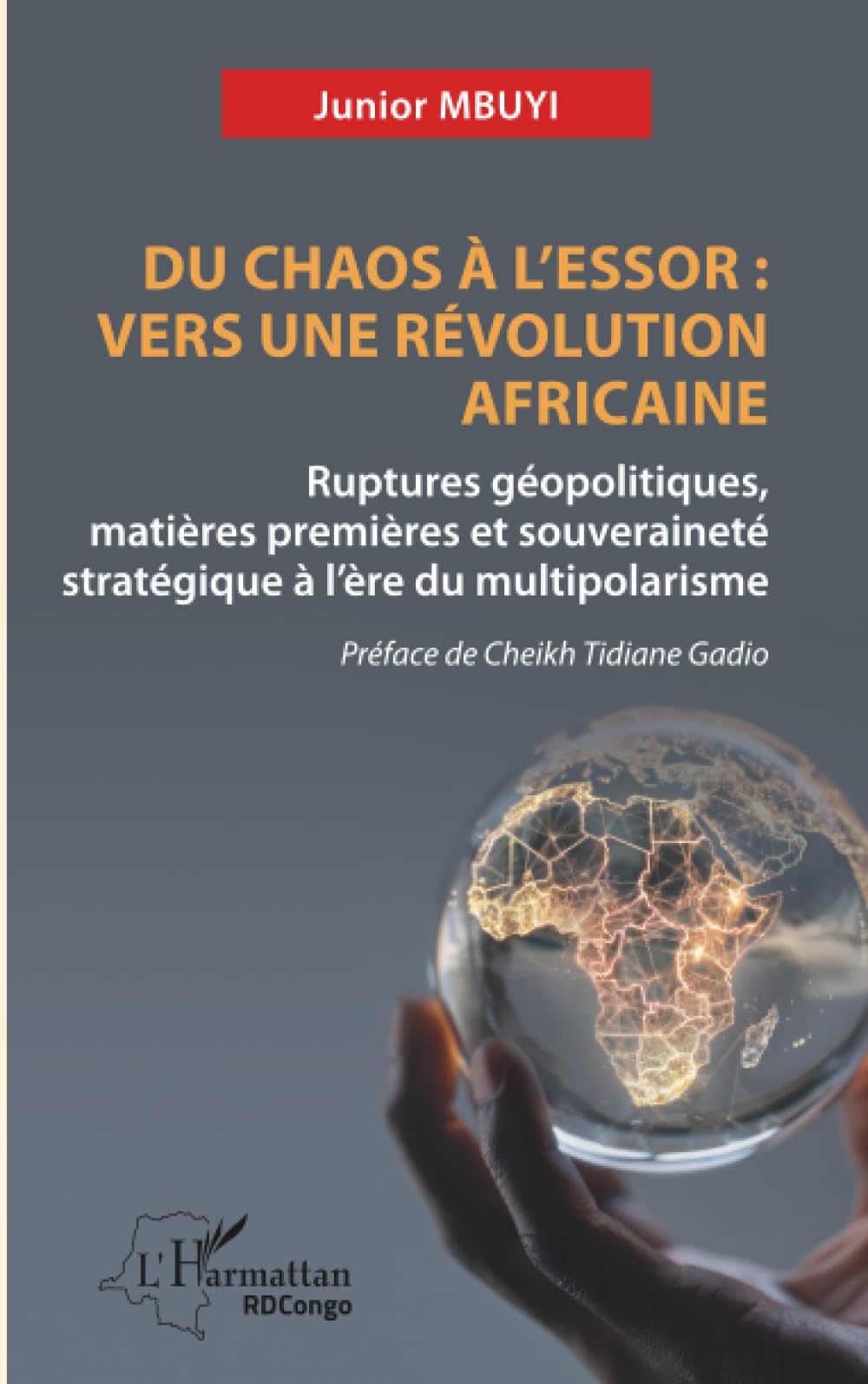 Du chaos à l’essor : Vers une révolution africaine: Ruptures géopolitiques, matières premières et souveraineté stratégique à l’ère du multipolarisme
