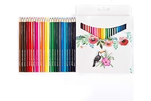 24-Count Colored Pencils for Vibrant Adult and Children Art