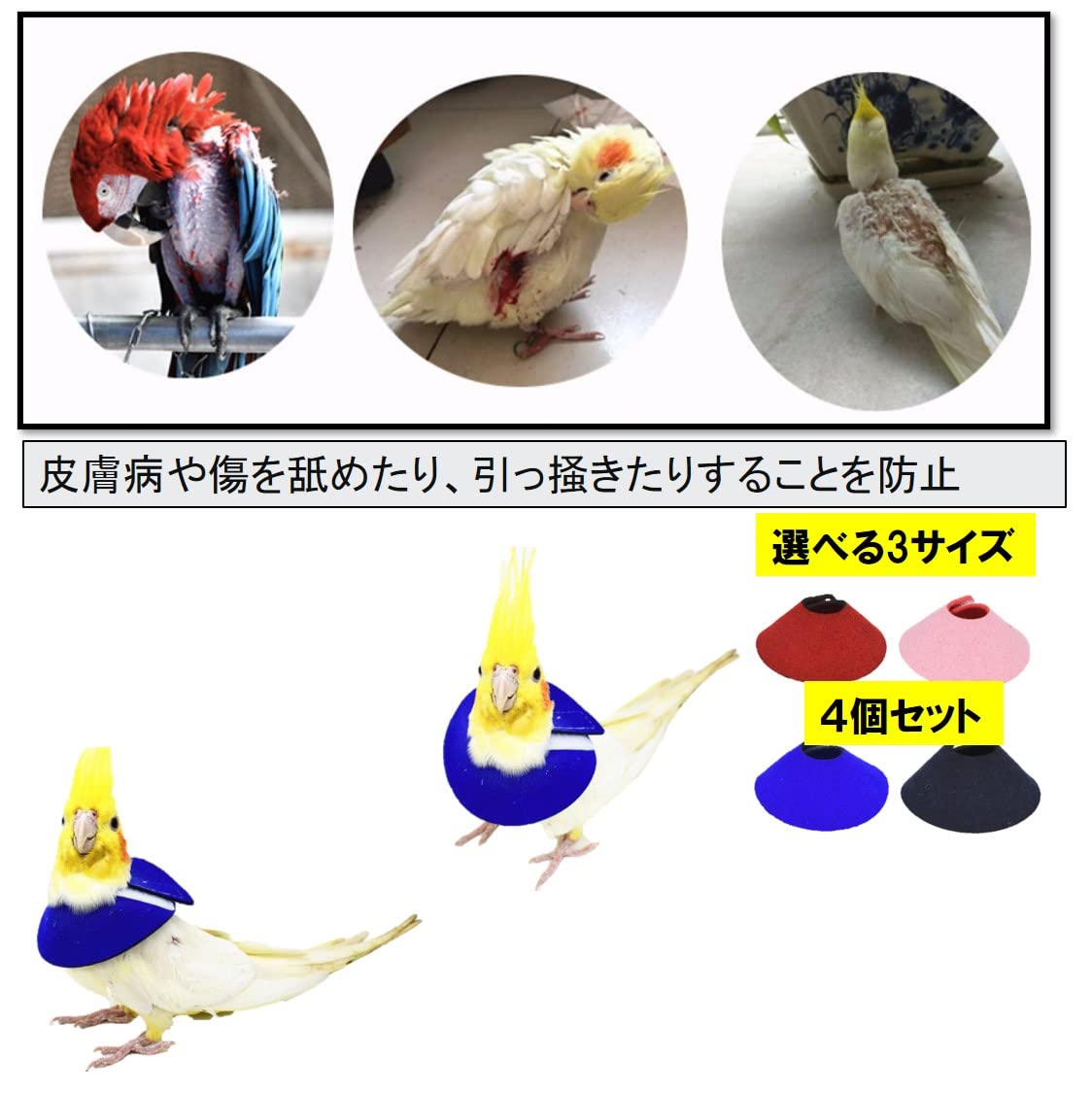 Amazon | ST TS 鳥用エリザベスカラー 4個 セット エリザベス