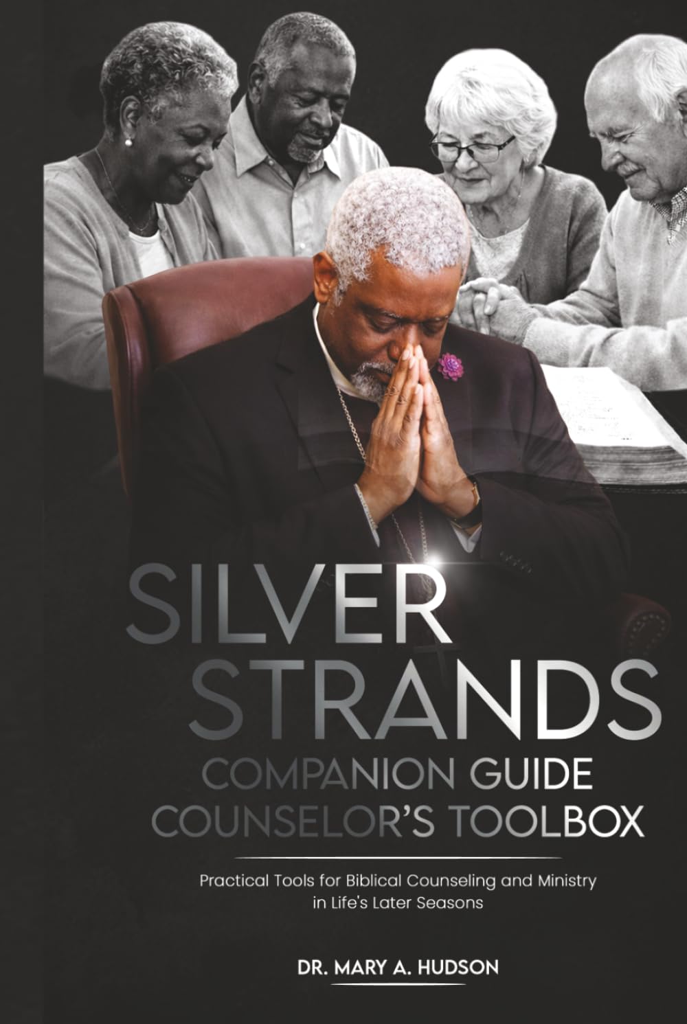 SILVER STRANDS COMPANION GUIDE COUNSELOR'S TOOL BOX: Practical Tools for Biblical Counseling And Ministry In Life's Later Seasons (SILVER STRANDS: ... COUNSEL AND MINISTRY IN LIFE’S LATER SEASONS)