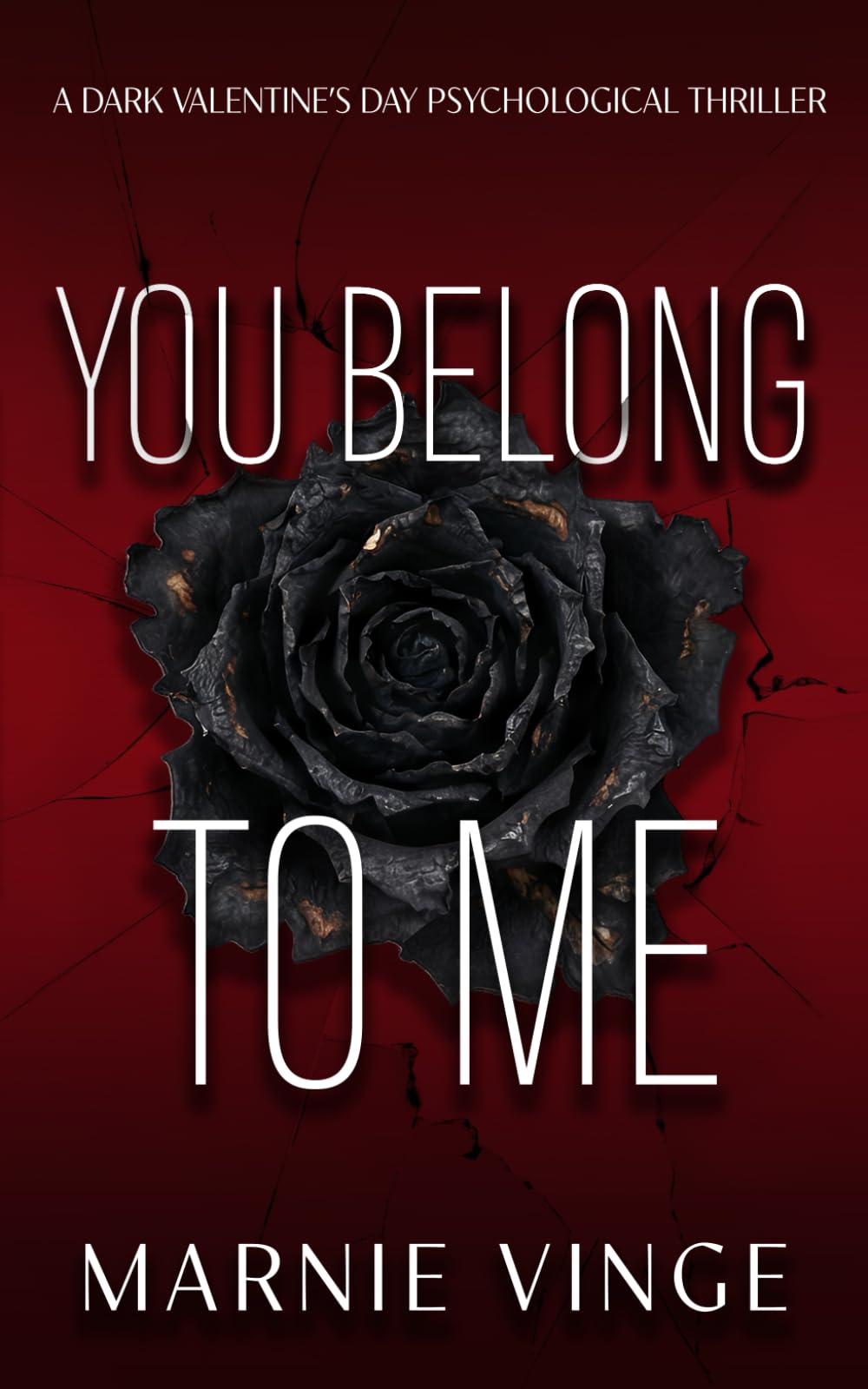 You Belong To Me: a dark Valentine's Day psychological thriller novella