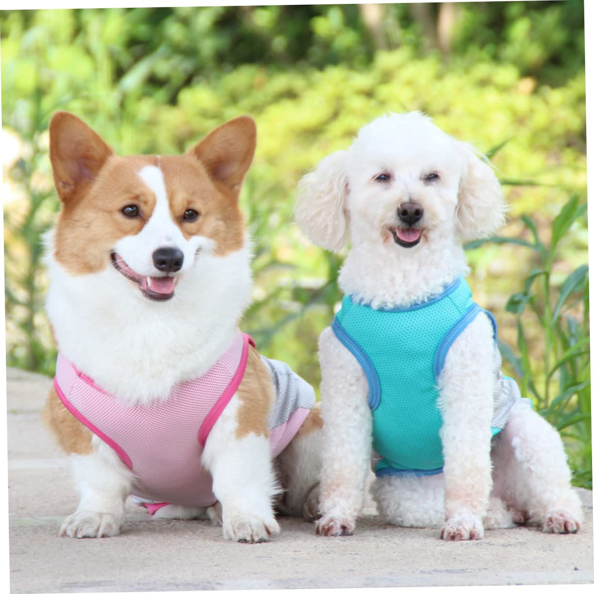 Sosoport 3stücke Kühlende Hundeweste Für Sommer Atmungsaktive Hautfreundliche Kühljacke Für Hunde Elegantes Design Für Kleine Und Mittelgroße Hunde Für Outdoor-aktivitäten Und