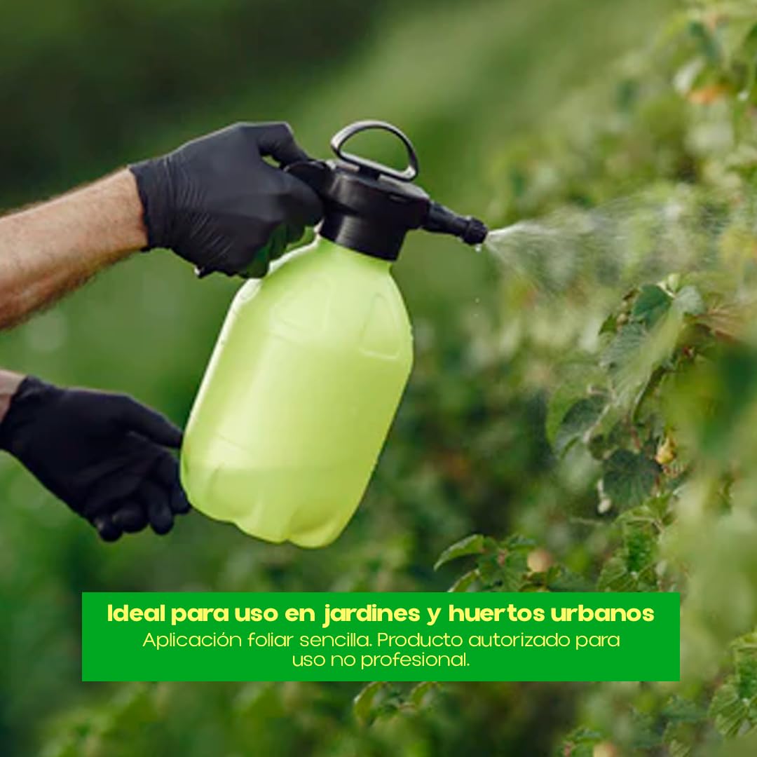 Insecticida Sistémico Epinsel 250ml | Insecticida Eficaz Anti Pulgones, Cochinilla, Mosca Blanca, Escarabajo de Patata y Minadores | Protección Hasta 4 Semanas en Jardines y Huertos | Nexum Market