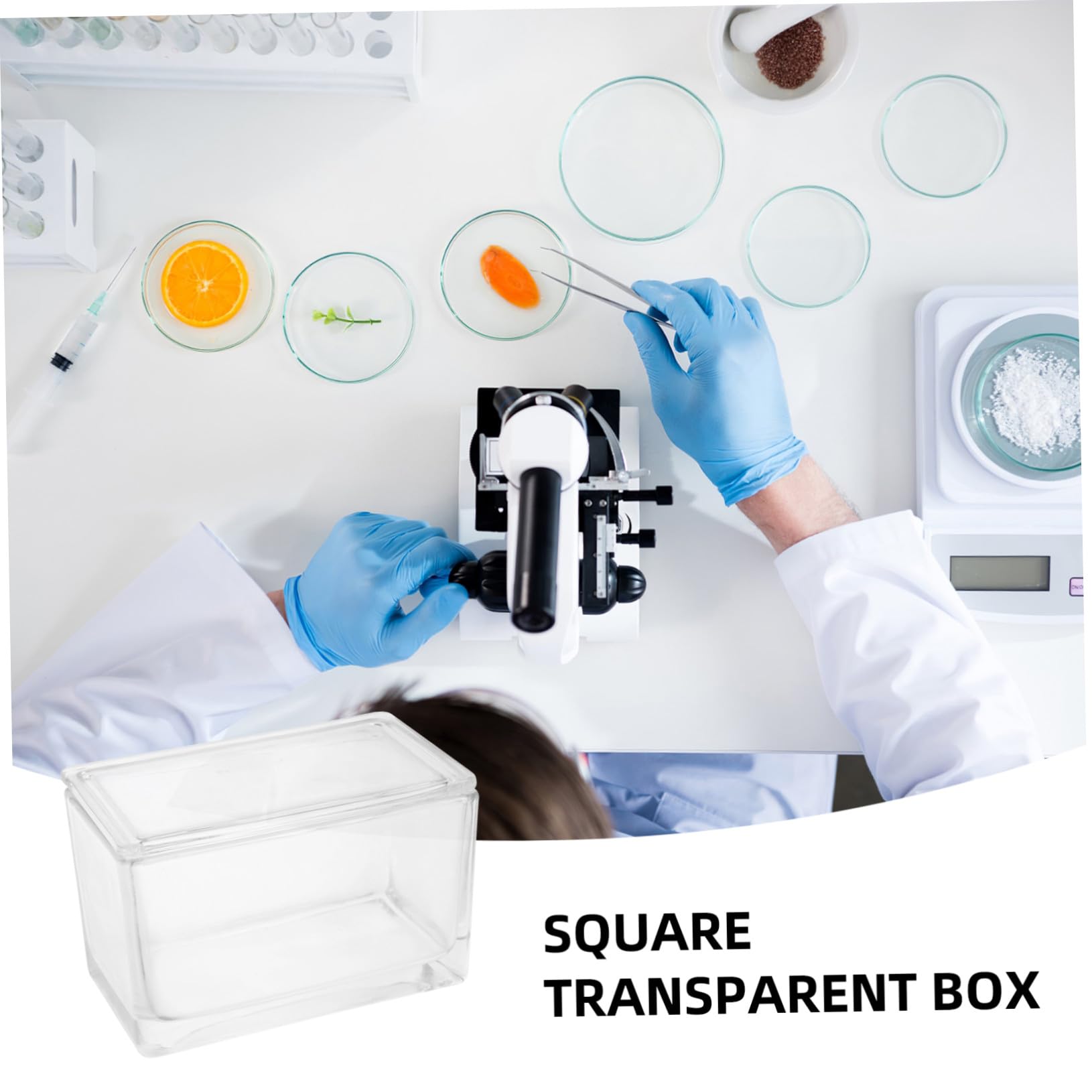 Garneck Transparenter Glas färbecylinder mit Konkaven Objektträgern Wiederverwendbar und Bruchsicher Flexibler Ständer für Stehende und Liegende Anwendung Großer Fassungsvermögen für