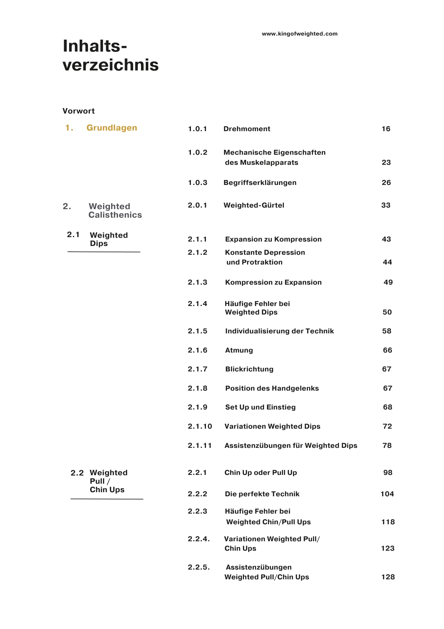 Understanding Calisthenics - Wie du systematisch Calisthenics Skills erlernen und dein Weighted Calisthenics verbessern kannst