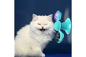 Interactive Windmill Cat Toy: A Whirlwind of Feline Fun