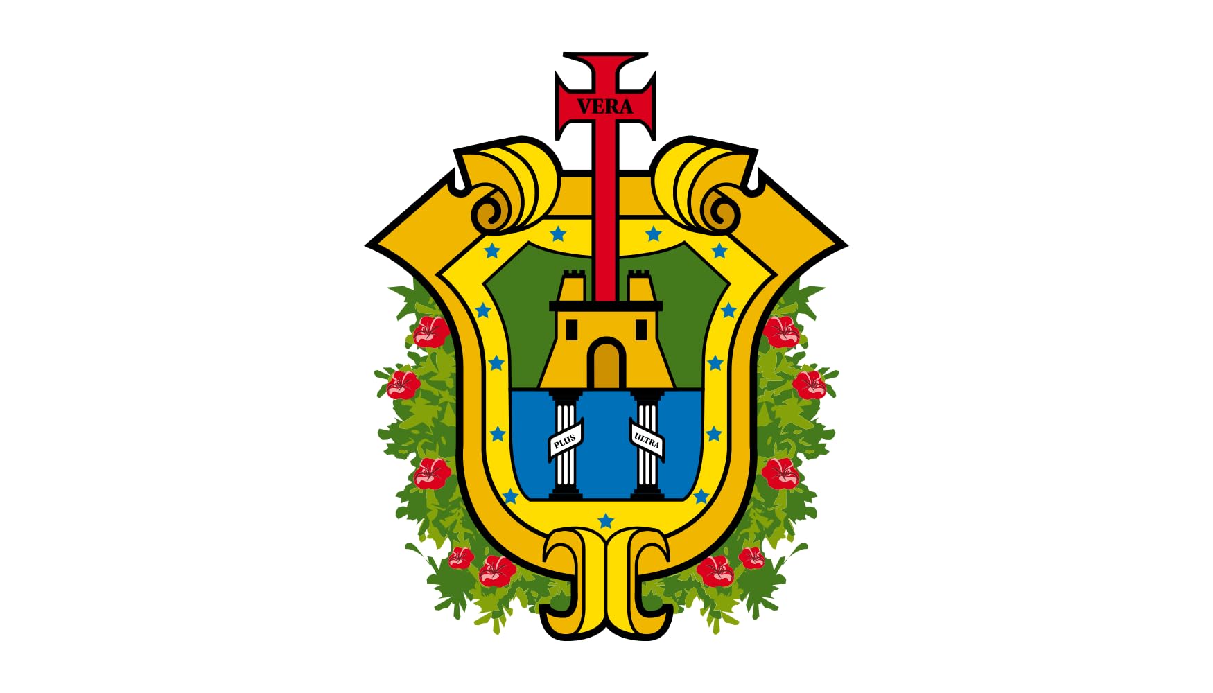 Drapeau Veracruz 80x120cm : la solution anti-déchirure pour pavillon paysage extérieur