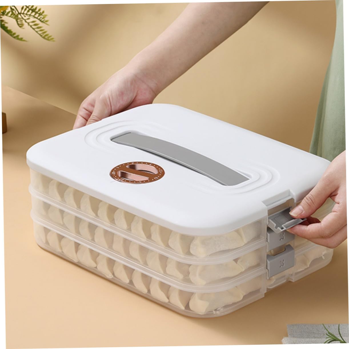 Mobestech Boîte de Rangement Empilable pour Raviolis avec Couvercle Hermétique Boîte Alimentaire pour Réfrigérateur et Congélateur Organisateur Compact pour Maison Conserve Réutilisable