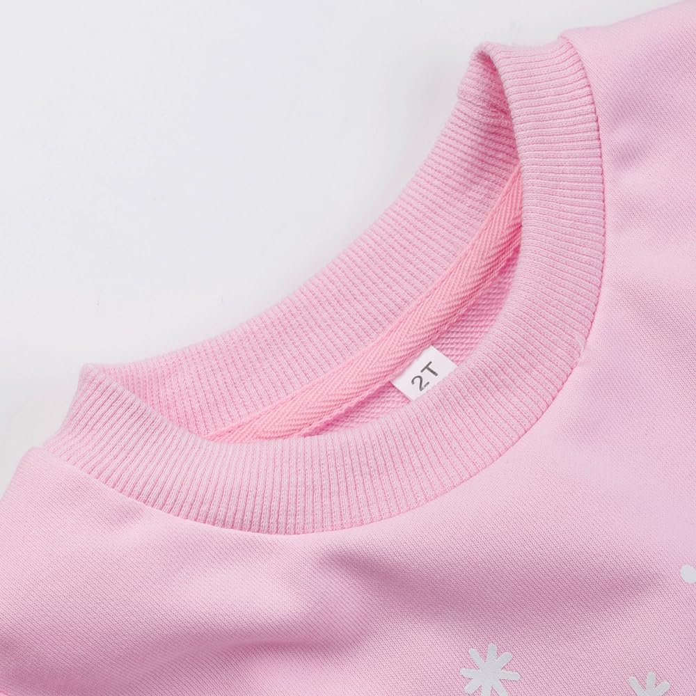 Toddler Baby Girls Sweatshirts Crewneck Pullover Long Sleeve Shirts Tops Girl Fall Winter Clothes 2-8T - Image 5