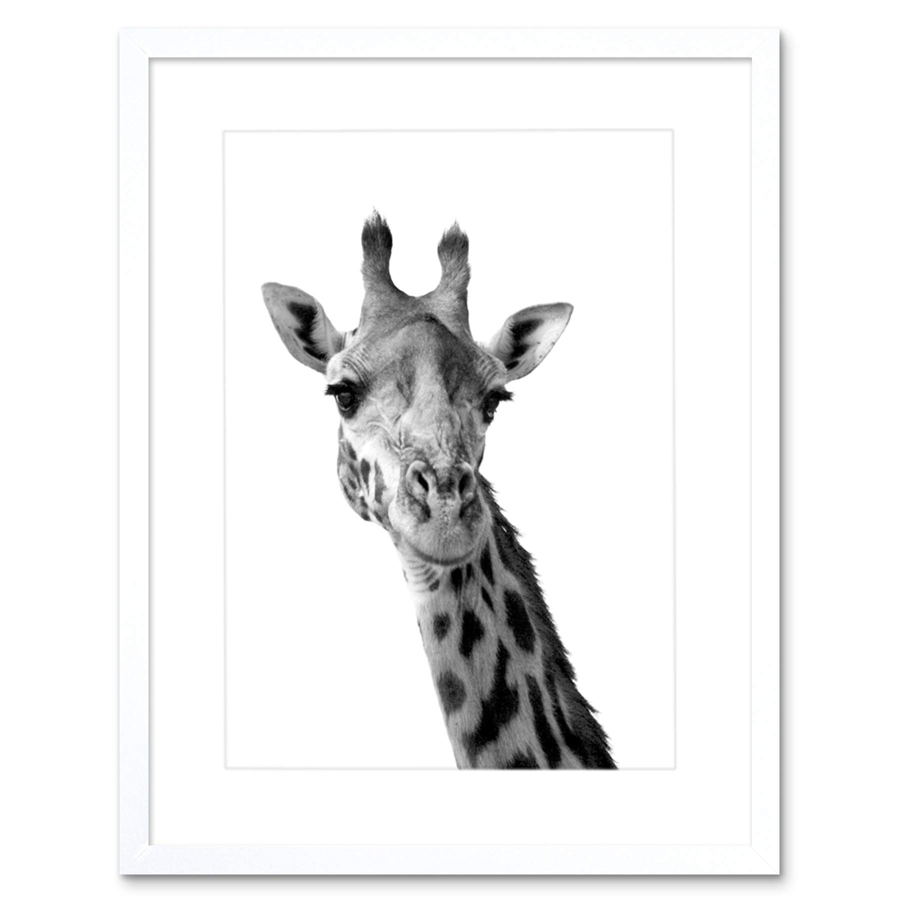 Wee Blue Coo Photo Black White Giraffe Portrait Face Framed Wall Art Print