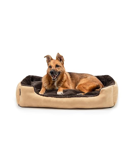 lionto Cama para Perros con cojín Reversible y Base Antideslizante