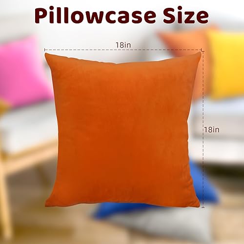 Miniatura 2 de Jyumini Paquete de 2 fundas de almohada de terciopelo suave de 18 x 18 pulgadas, fundas de cojín cuadradas sedosas decorativas con cremallera para