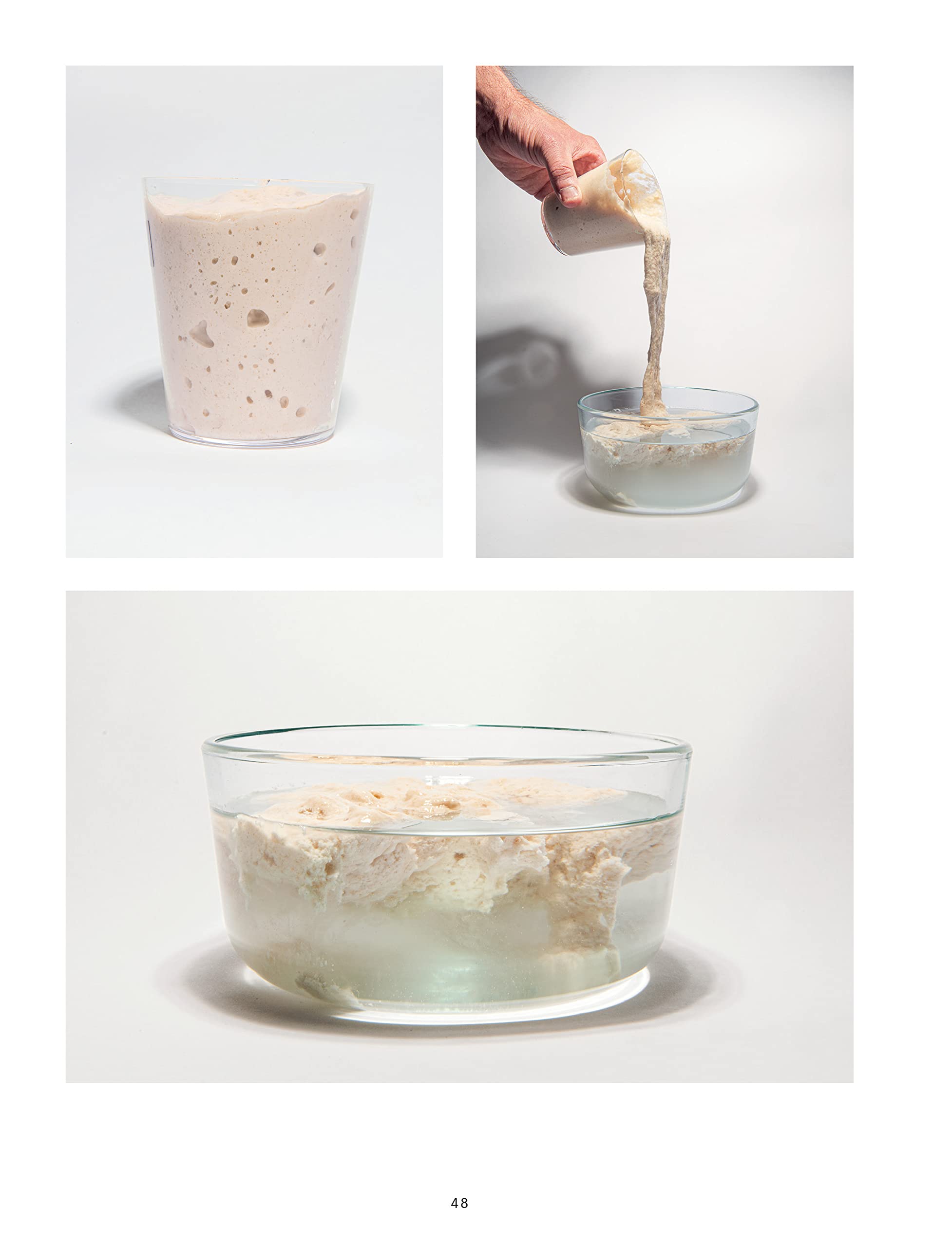 El libro del pan: Reflexiones e innovaciones sobre el futuro de los cereales, la harina y la fermentación (Los ilustrados)