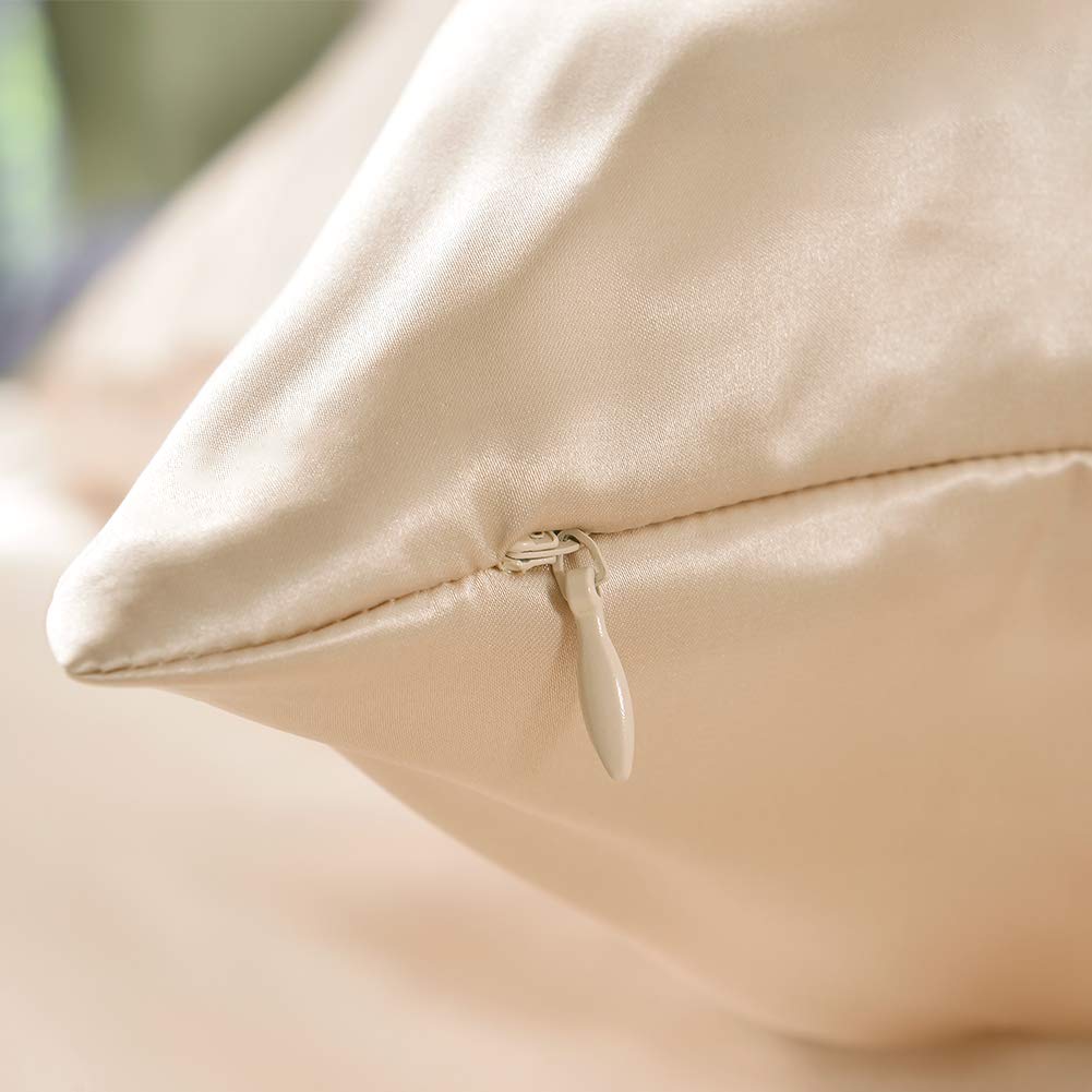 THXSILK Funda de almohada de seda de 25 Momme para cabello y piel, funda de almohada de seda de morera, hipoalergénica con cremallera oculta, seda pura en ambos lados… (champán, 45 x 45 cm)