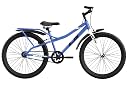 BSA Ladybird LB Vogue Cycle in 26T Wheel Size in Stylish Looks with Heavy Integrated Carrier for Age Group 12+ gallery image