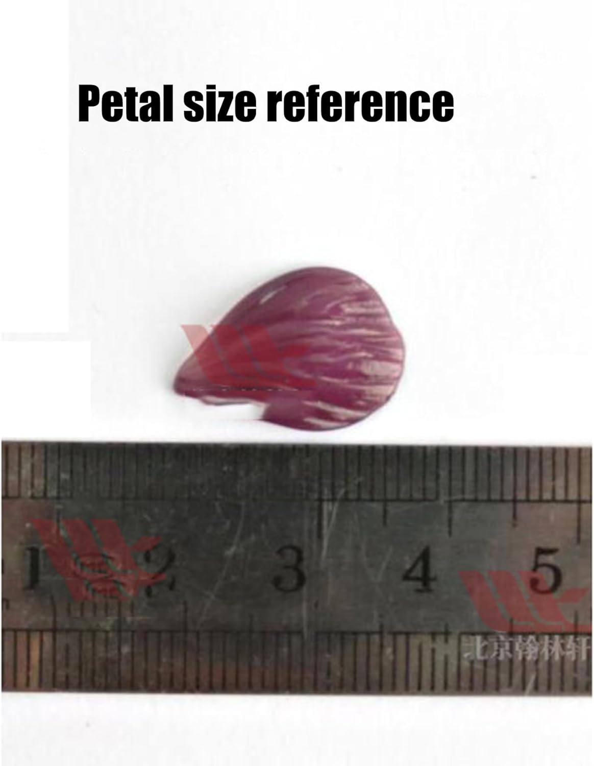 E Large Copper Small Curved Petal Pliers Butterfly Wings And Leaves' Pliers Mold Glass-Blowing Tool For Lamp Production