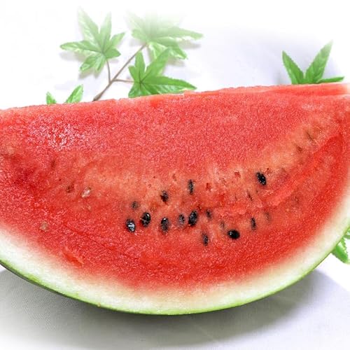 ��t�X�C�J ��5kg 1�� M?L�T�C�Y ��t���Y �����K�i �x�����n�ߌ������w�̎Y�n�����I�I�L���ȊÂ��̐V�N�ȏ{�̐��Z ����ē͂������̕ԕi�����Ή��L��
