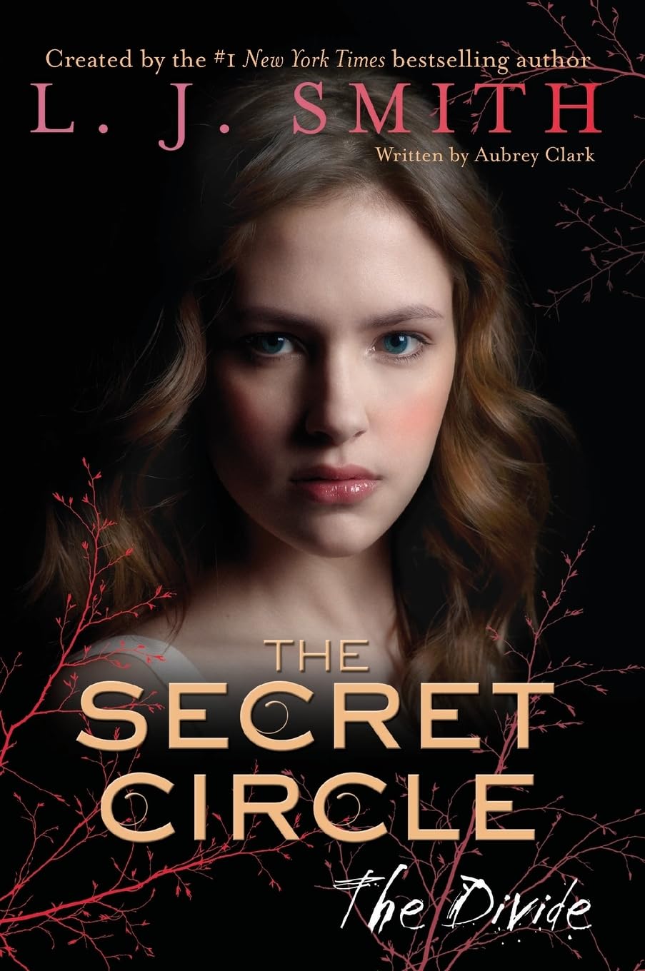 The Secret Circle: The Divide: The Divide, The (Secret Circle, 4)