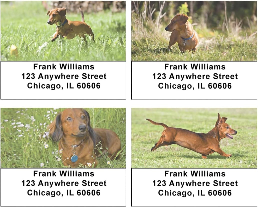 Playful Dachshunds Address Labels