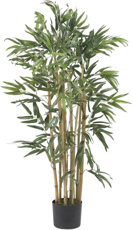 3ft. Multi Bambusa Bamboo Silk Tree