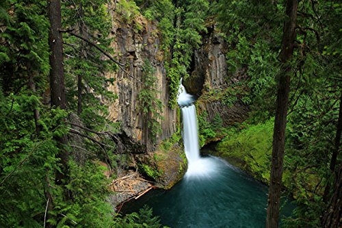 Waterfalls Toketee Falls Oregon Trunk Tree Crag (No.012389) - Poster Art Print On Canvas 60 cm x 40 cm (Roughly 24x16 Inch)