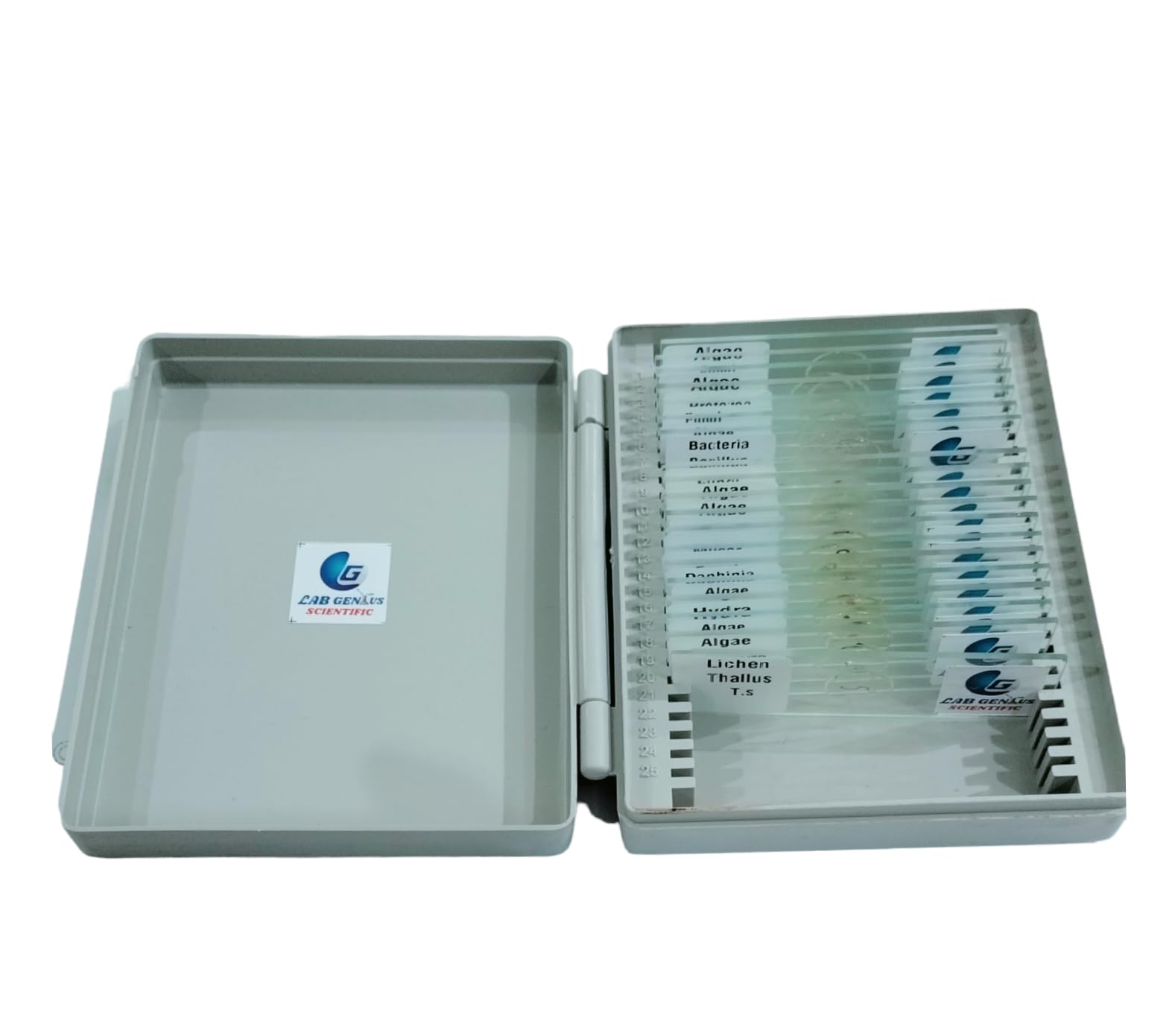 Labgenius Common Microorganism Slides Set (Set of 20)-image-40