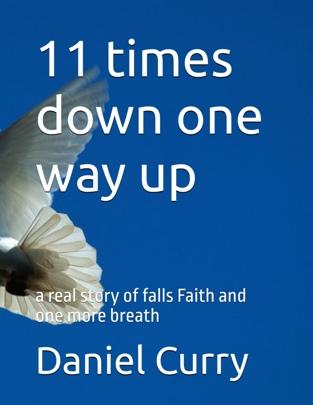 11 times down one way up: a real story of falls Faith and one more breath