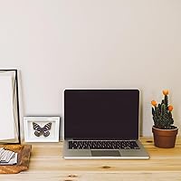 Vista 6 de 2 piezas enmarcadas de mariposa real, espécimenes de mariposa de taxidermia en marco, colección de insectos, decoración de escritorio para el hogar