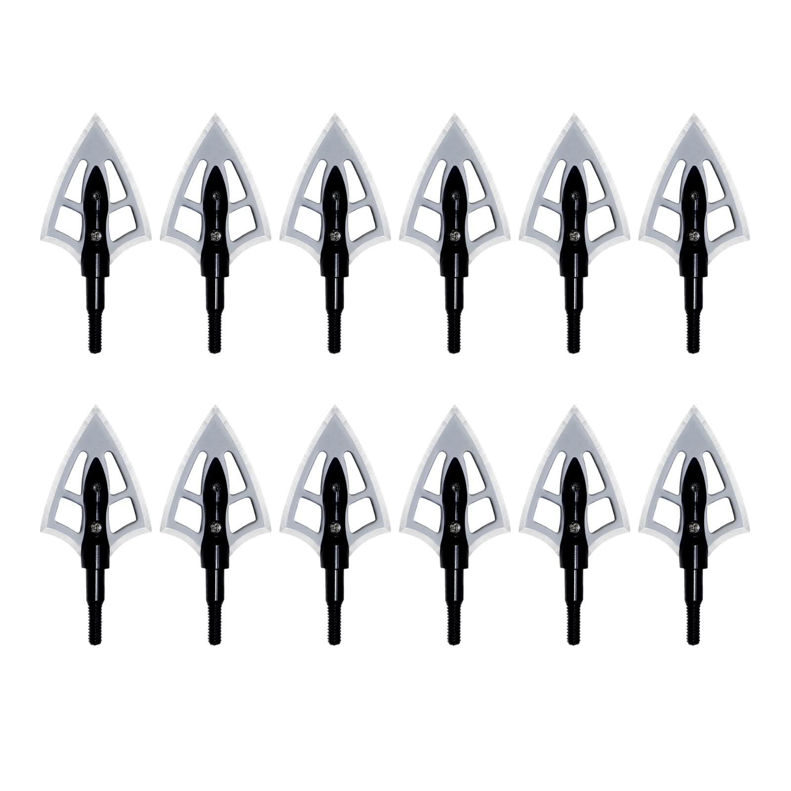 12Pcs Stainless Steel 100 Grain Broadheads 2 Blades Hunting Tips for Crossbow Compound Bow Archery Hunting