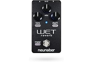 Neunaber Immerse Wet Reverb v5
