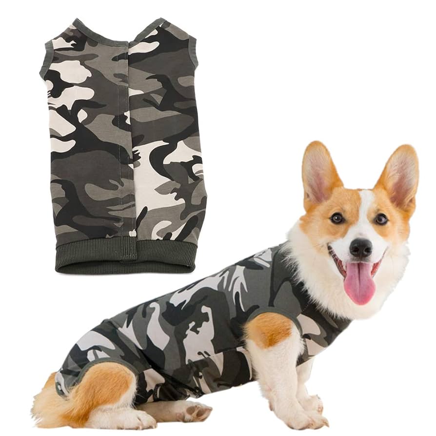 Amazon | motoparty 犬用術後ウェア 犬用 術後服 エリザベス