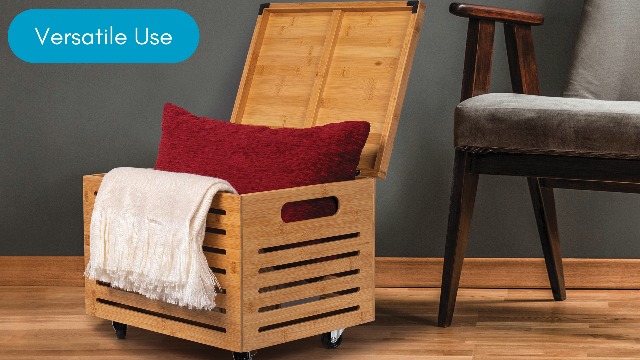 Amazon.com: BIRDROCK HOME Rolling File Storage Organizer Box with