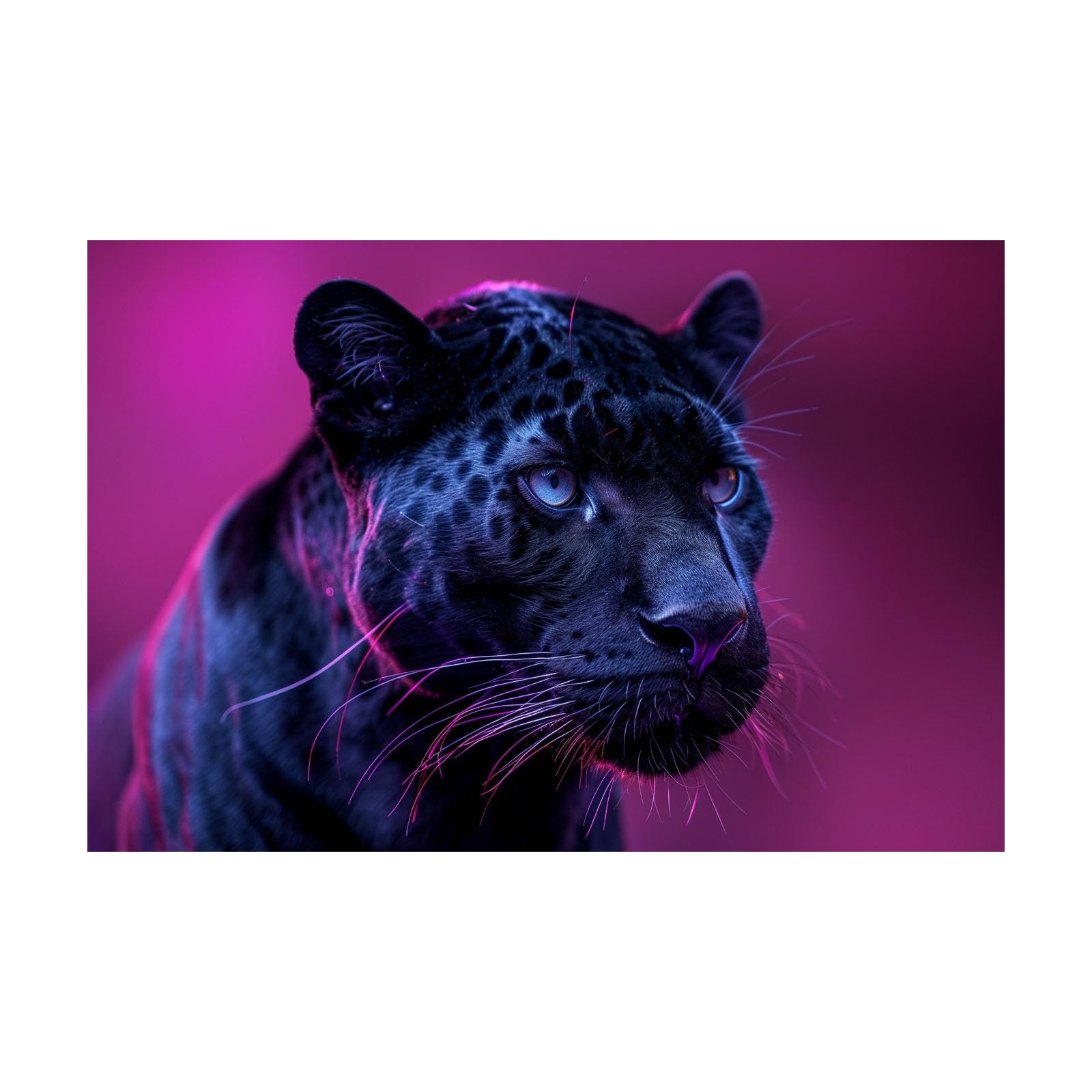 TERUEA Modern Art Animal Canvas Wall Decor, Panther Blue Eyes Magenta Pink Wildlife Farmhouse Style Artwork for Kitchen Bathroom Bedroom Office Home Deration(Metallic)-60x90cm Unframed
