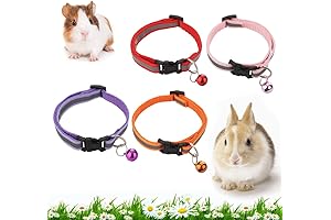 Personalized Mini Pet Collars: A Chic and Vibrant Accessory for Your Furry Friend