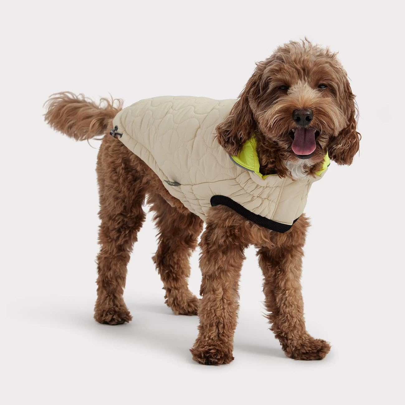 GF Pet Reversible Chalet Jacket - Sand/Yellow - 4XL