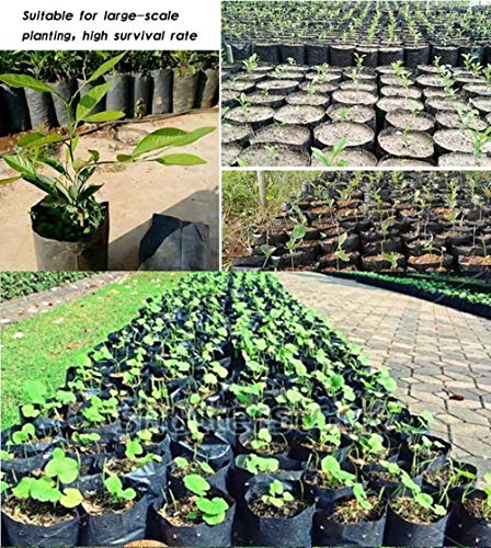 Fulaiergd 100 Pcs Thicken Pe Seedling Bag Fruit Tree Seedling Cup Bonsai Planting Bag With 30 Pcs Plant Labels And 2 Pcs Mini Hand Portable Watering Sprinkler thumb #2