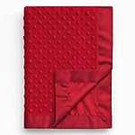 Pro Goleem Baby Soft Minky Dot Blanket with Silky Satin Backing Baby Gifts for Boys and Girls (Red, 30 x 40)