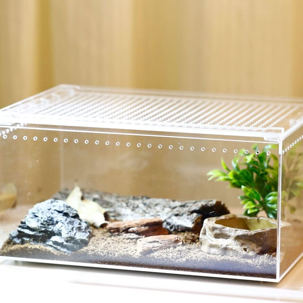 Terrarium dla gadów, duże pudełko do karmienia do małego domowego biura
