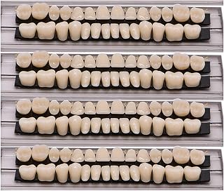 112 Pc Dental Synthetic Acrylic Teeth Resin Denture 4 Set False Teeth for Halloween Horror Prop 23 A2 (28 Pcs/Set)