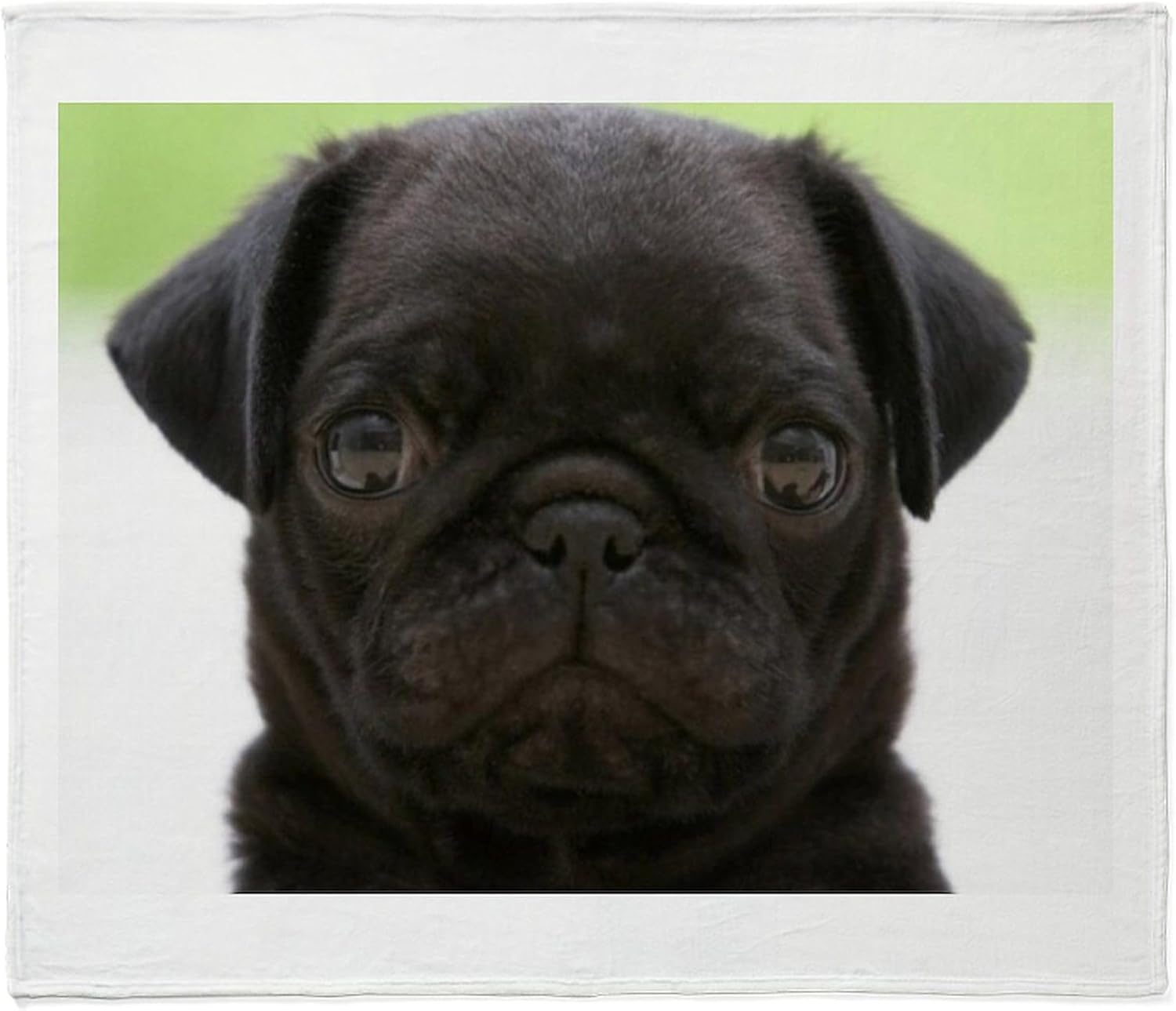 CafePress Black Pug Throw Blanket Super Soft Fleece Plush Throw Blanket, 60"x50"