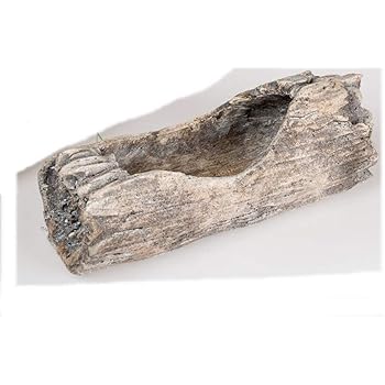 matches21 Pflanztopf Pflanzgefäß Pflanzschale AST-förmig/Baumstamm aus