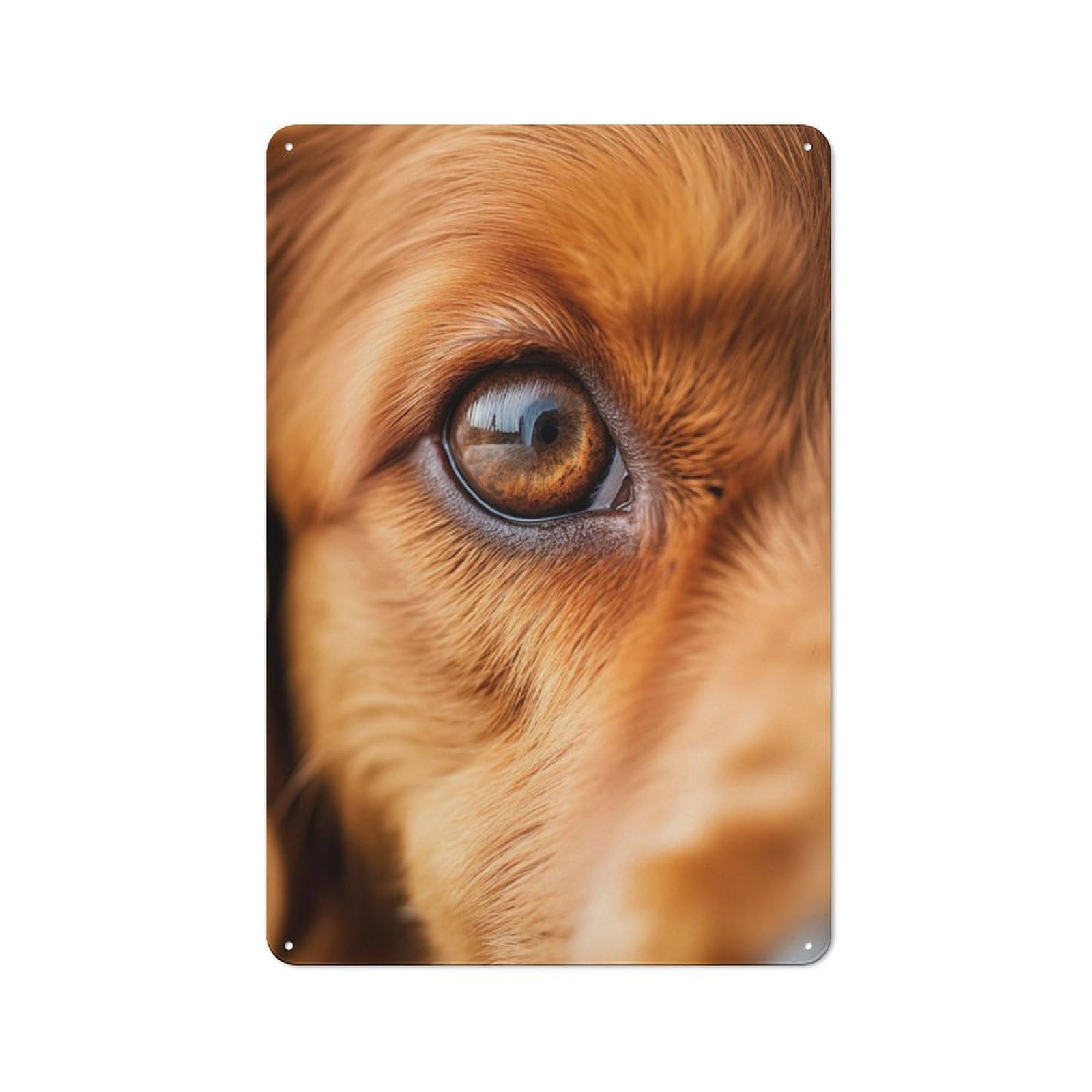 Junmoney Gaze Of Loyalty Industrial Retro Metal Sign 30X20cm, Shed Wall Plaque For Garage, Workshop, Shed Or Utility Room