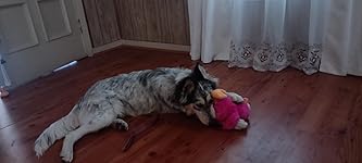 Review Image by RavM RavM