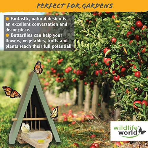 Wildlife World Butterfly House and Feeder - Natural Habitat to Attract Butterflies to Your Garden (Blue) - Image 4